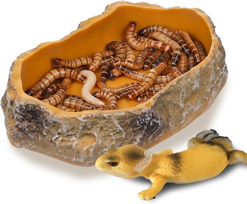 IBWell 5 Inch Reptile Food Dish Escape Proof Reptile Feeding Dish Resin Reptile Water Food Bowl for Bearded Dragon Chameleon Frog Snake Turtle Leopard Gecko - Image 1